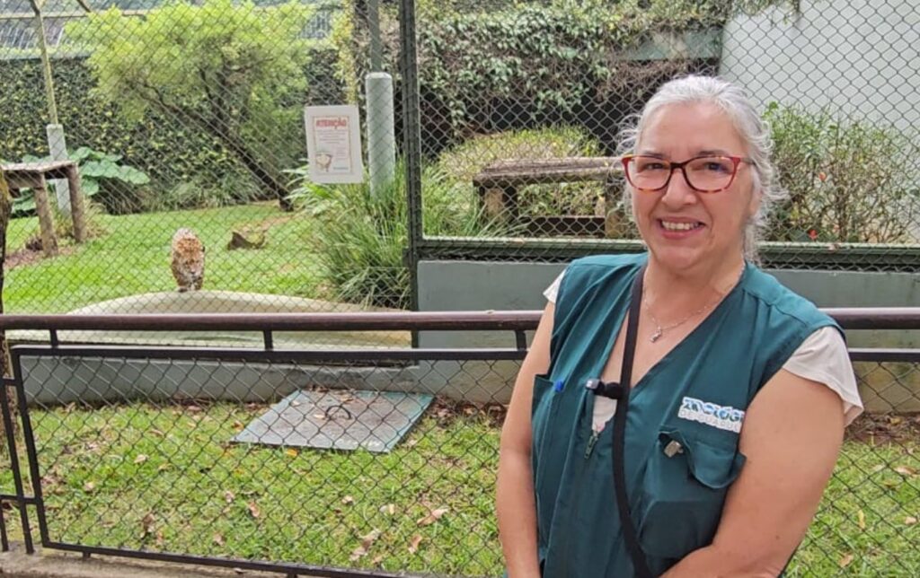 Onça-pintada Tiana (ao fundo) observa entrevista de Claudia Igayara ao Guarulhos Todo Dia, no Zoo de Guarulhos