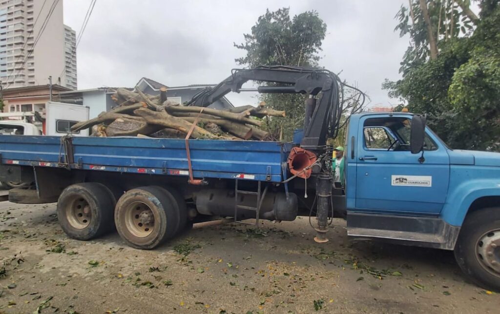 Caminhão leva galhos de árvores podados