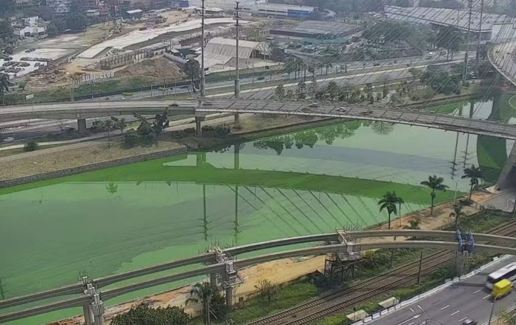 Por que a água do rio Pinheiros está verde?