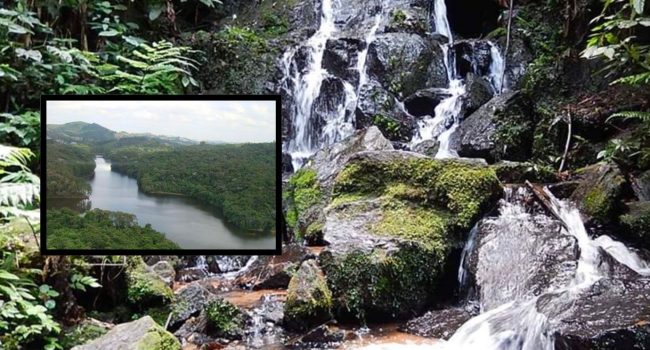 Parque Estadual da Cantareira Núcleo Cabuçu, lugar para fazer Turismo em Guarulhos