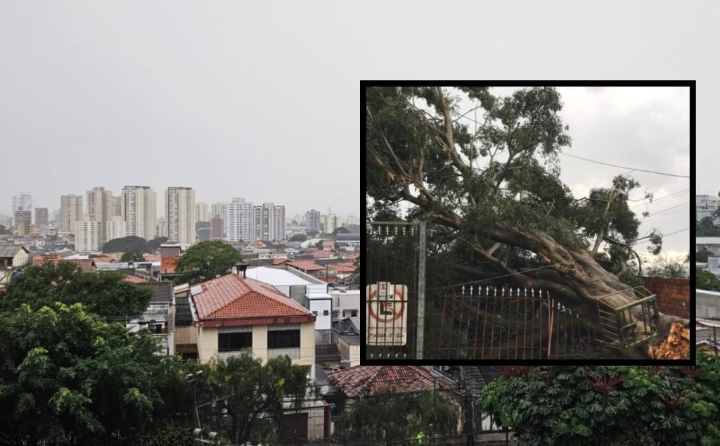 Guarulhos registra ventos de 80 km/h e chuvas fortes; alguns locais ficam sem energia