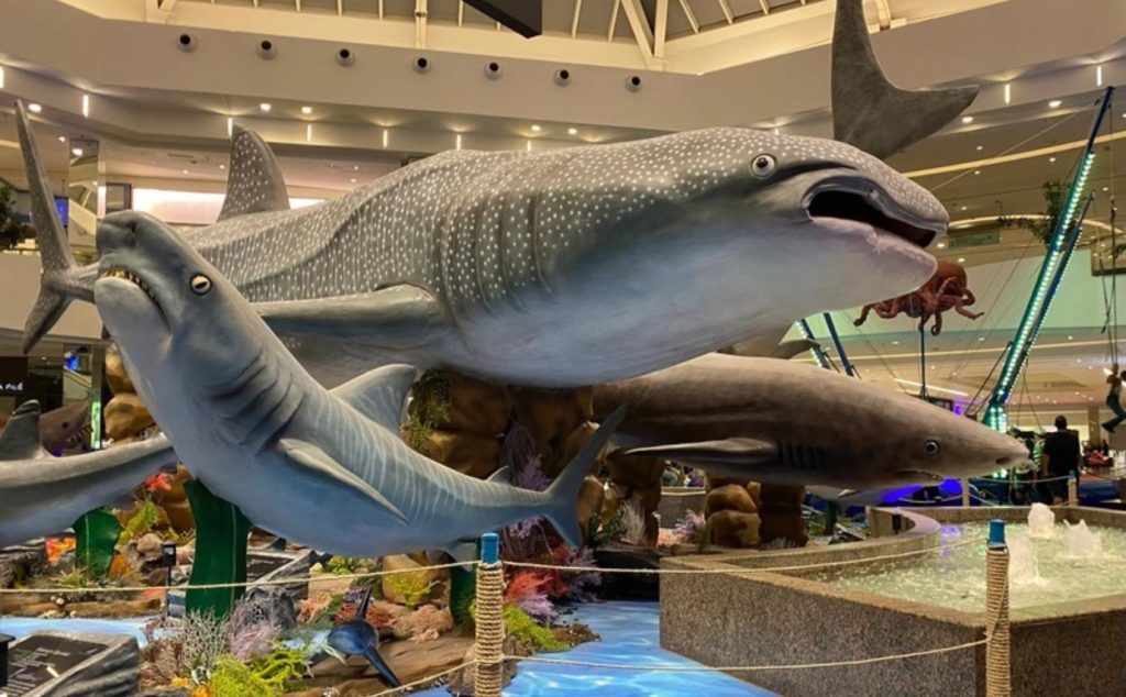 Expo Sharks, a nova exposição de tubarões no Shopping Maia de Guarulhos