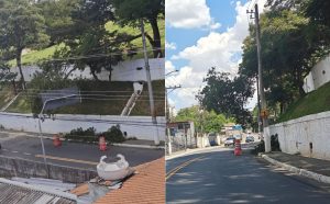Leitora denuncia árvore caída sobre a fiação em frente ao Cemitério Vila Rio; EDP já está no local