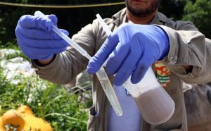 Guarulhos registra redução de 92,5% nos casos de dengue em 2025