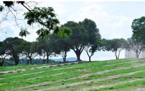 Prefeitura quer limitar uso gratuito de serviços funerários municipais