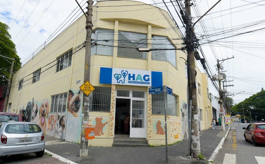Entenda o que aconteceu com os hospitais veterinários gratuitos de Guarulhos